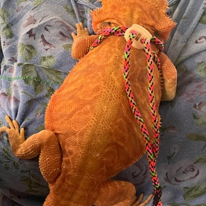 Nan added a photo of their purchase