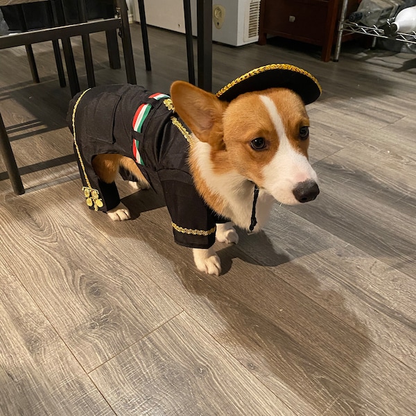 Mariachi Costume for male dogs