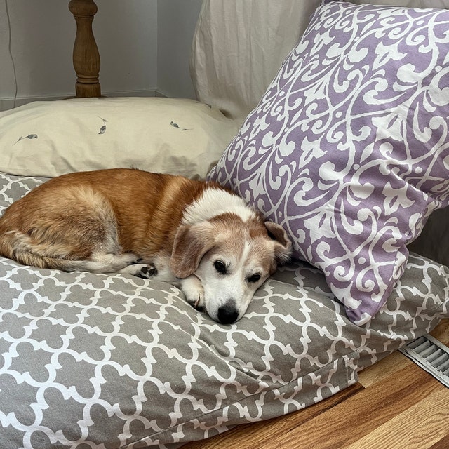 Custom fit Dog Bed Cover Etsy