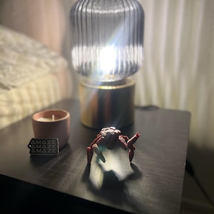 Liz added a photo of their purchase