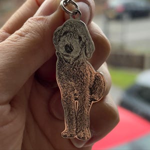 Steve added a photo of their purchase