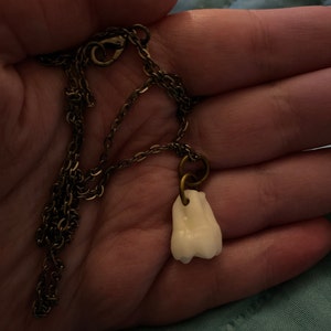 Jenna added a photo of their purchase