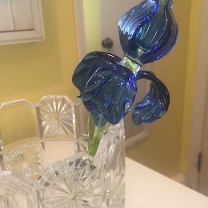 Susan added a photo of their purchase