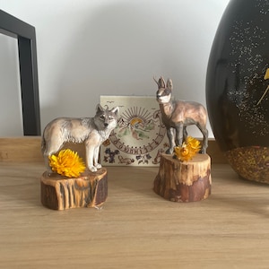 MarqArt Wood Art Gecko Box – Hecho A Mano En Estados Unidos – Calidad Inigualable – Único, No Hay Dos Iguales – Obra Original De Arte De Madera. Un Regalo De