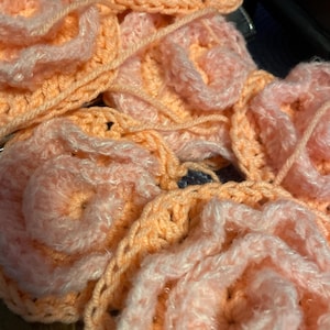 Barbara added a photo of their purchase