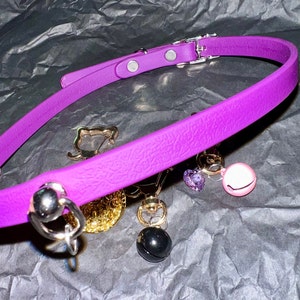 Autumn added a photo of their purchase