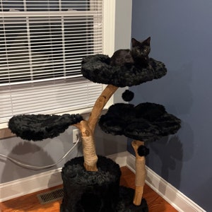 Samantha added a photo of their purchase