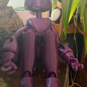 Lindsay added a photo of their purchase