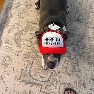 Kate added a photo of their purchase