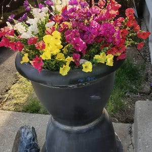 Tami added a photo of their purchase