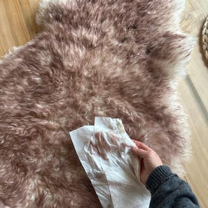 Laura added a photo of their purchase