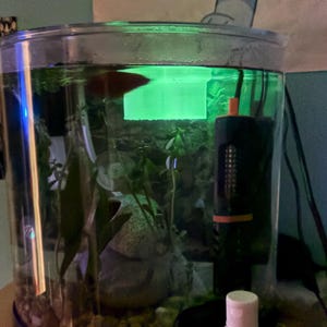 Judith added a photo of their purchase
