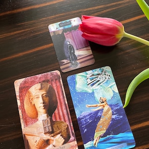 Adriana added a photo of their purchase