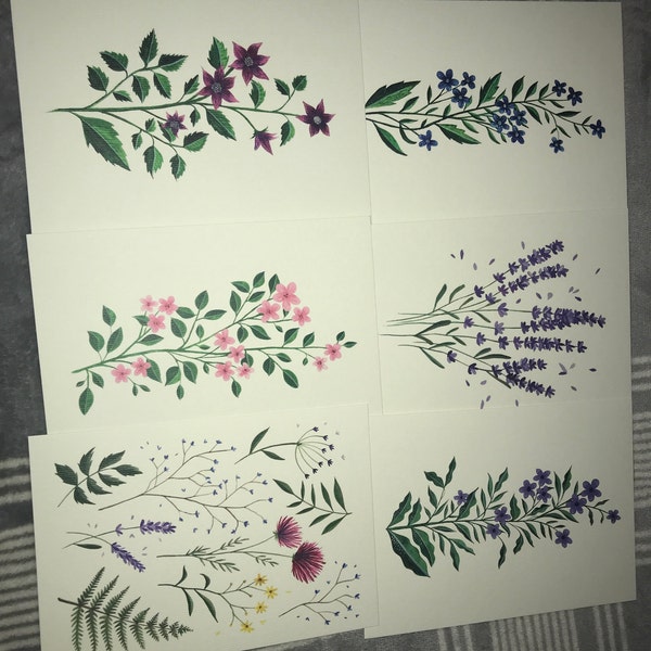 Postcard Set of 6 - Botanical Wildflowers Collection - Watercolour ...