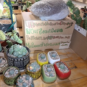 Michel added a photo of their purchase
