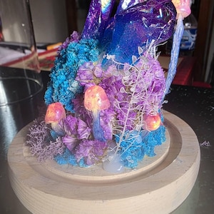 Merissa added a photo of their purchase