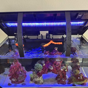 Acquirente Etsy ha aggiunto una foto del proprio acquisto