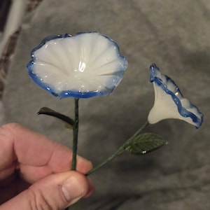 Jeff added a photo of their purchase
