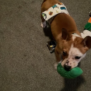 Riane added a photo of their purchase