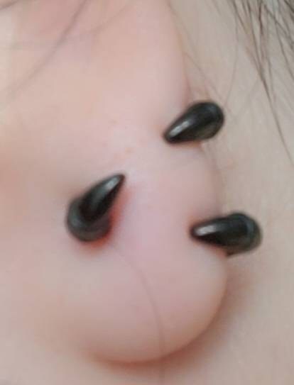Dragon Claw Front and back earrings, claw earrings, Ear jacket earrings, Gothic earrings, edgy earring, dragon earrings, dragon claw studs