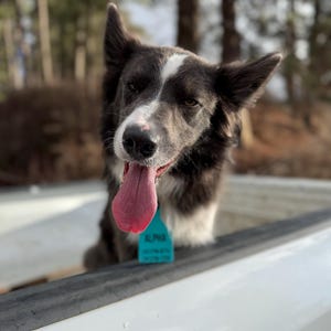 Bonnie ha añadido una foto de su compra