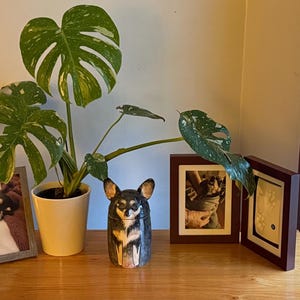 Colleen added a photo of their purchase