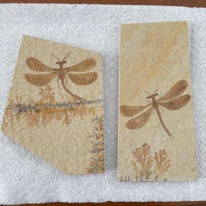 Wendy added a photo of their purchase