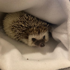 Elizabeth added a photo of their purchase