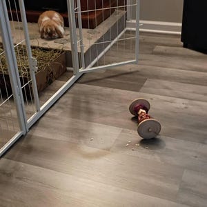 Brinney added a photo of their purchase