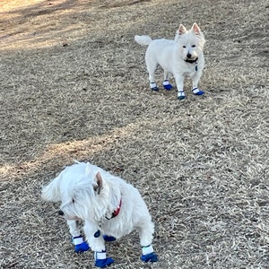 Musher boots cheap for dogs