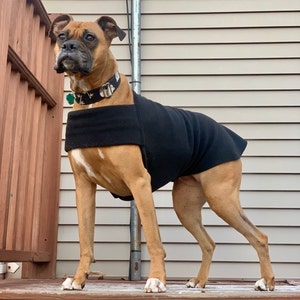 boxer dog sweater
