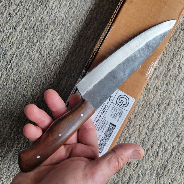 Japaknives Coltello A Lama Fissa In Acciaio D2 Con Motivo Piuma, Manico In Pakkawood E Fodero In Pelle, Ideale Per Sopravvivenza Ed Escursioni