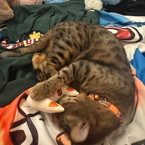 Etsy buyer added a photo of their purchase