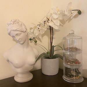 Monica added a photo of their purchase
