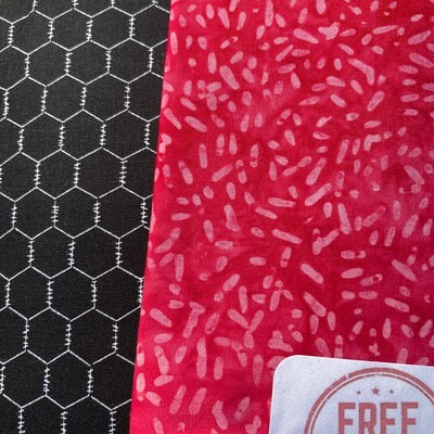 Cascading Ribbons Quilt Pattern by Cut Loose Press domestic - Etsy