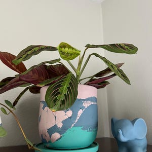 Acquirente Etsy ha aggiunto una foto del proprio acquisto