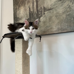 Modern Cat Furniture - Stylish Cat Tree with Perch, cat climbing tree,cool cat trees,cat perch,cat lover gift,cat scratching post,cat condo