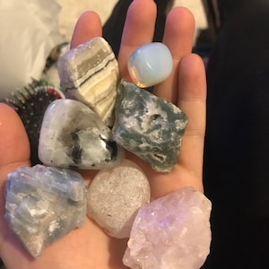 Megan added a photo of their purchase