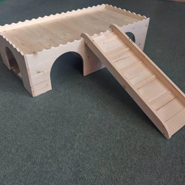 View of Softwood Hamster House: Gerbil Hideout, Small Animal Playground - Etsy
