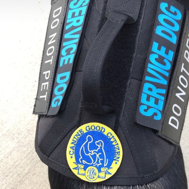 Canine good citizen outlet vest