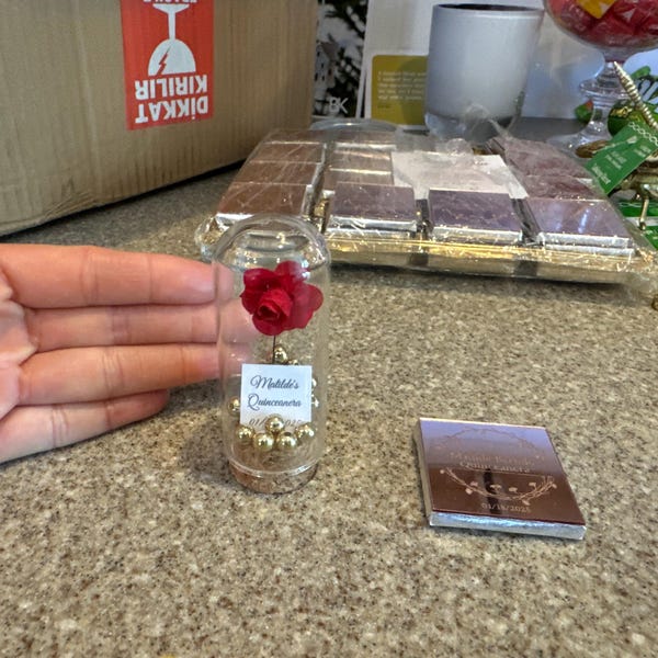 Beauty and the Beast Mini Glass Wedding Favors for Guests, Wedding ...