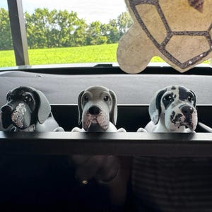 Debbie added a photo of their purchase