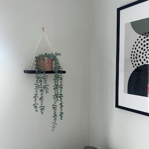 Kelsey さんが購入した商品の写真を追加しました