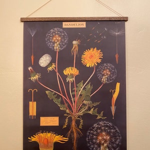 Celestial Vintage School Chart Poster With Tasmanian Oak - Etsy India