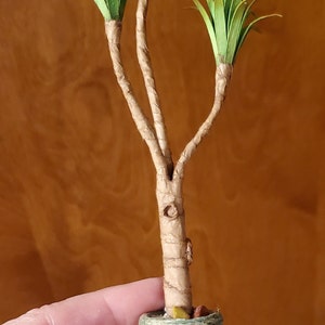 Samantha added a photo of their purchase