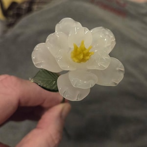 Jeff added a photo of their purchase