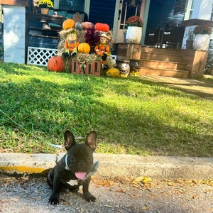 Robin added a photo of their purchase
