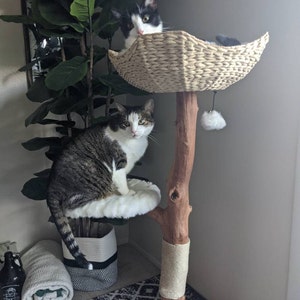 Mau Wood Cat Condo Modern Cat Tree Cat Tower Furniture Etsy