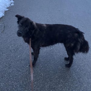 Phebe added a photo of their purchase