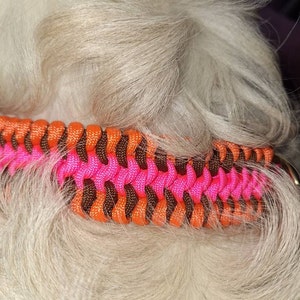 Susanne added a photo of their purchase